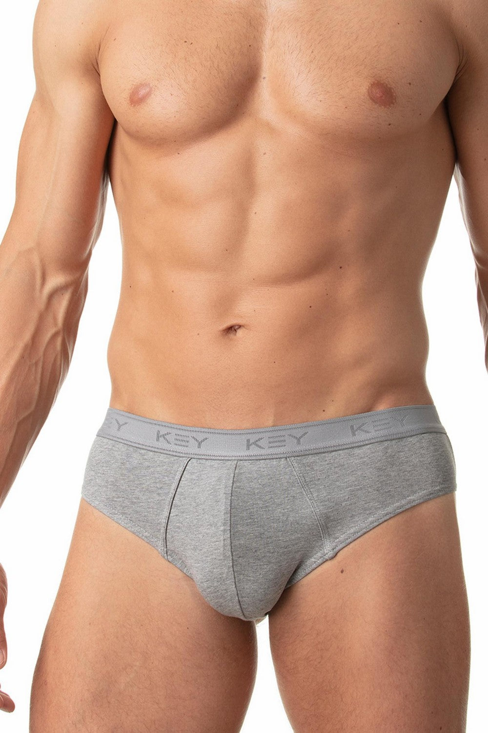 Мужские слипы из хлопка MPP 019 melange (2 шт.)