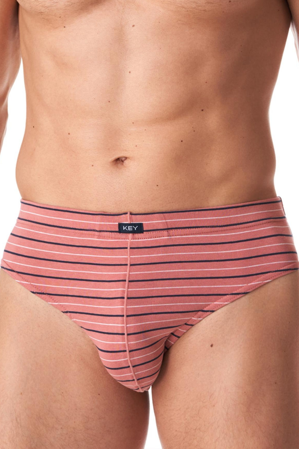 Мужские трусы слип в полоску MPP 355 B23 (2 шт.)