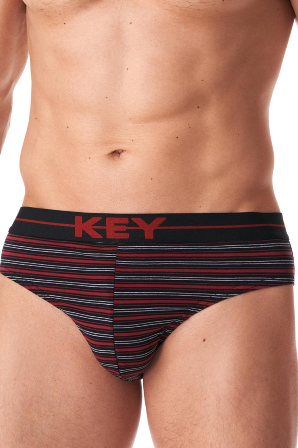Мужские трусы слип в полоску MPP 356 B23 (2 шт.)
