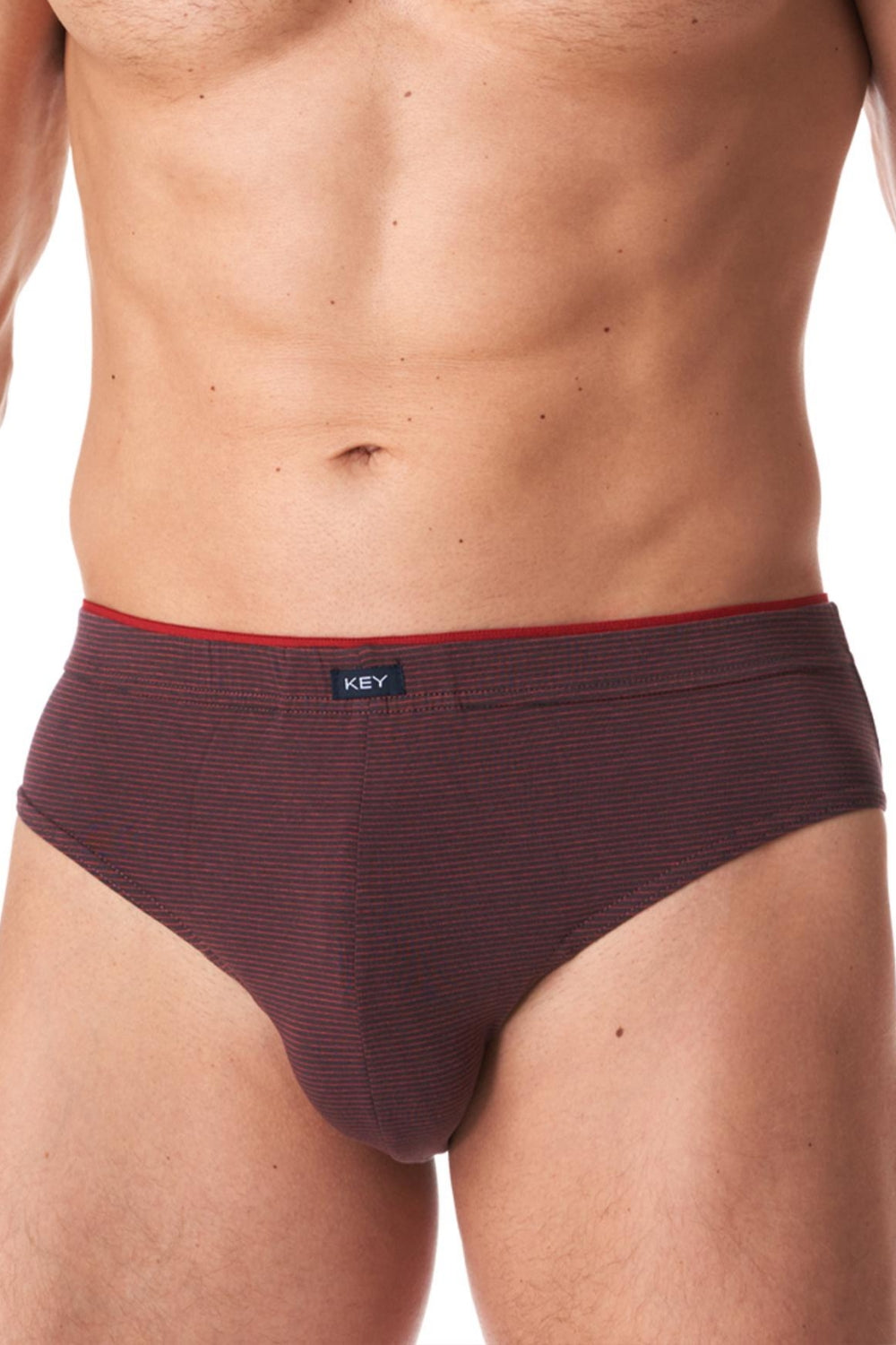 Мужские трусы слип в полоску MPP 358 B23 (2 шт.)