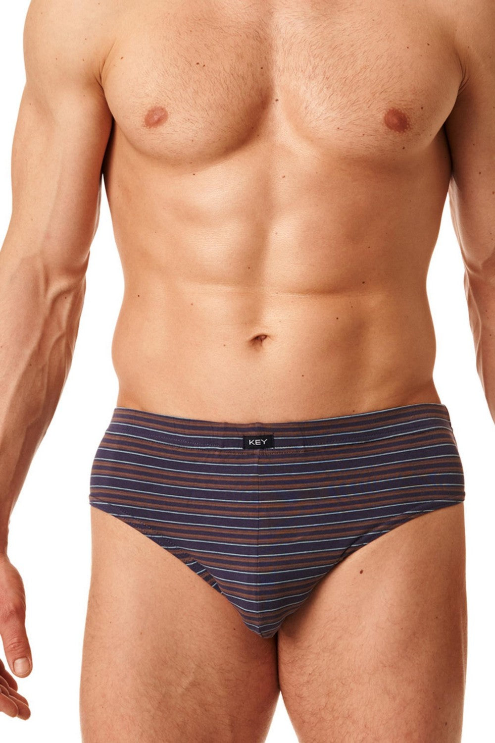 Мужские слипы в полоску MPP 383 B22 (2 шт.)