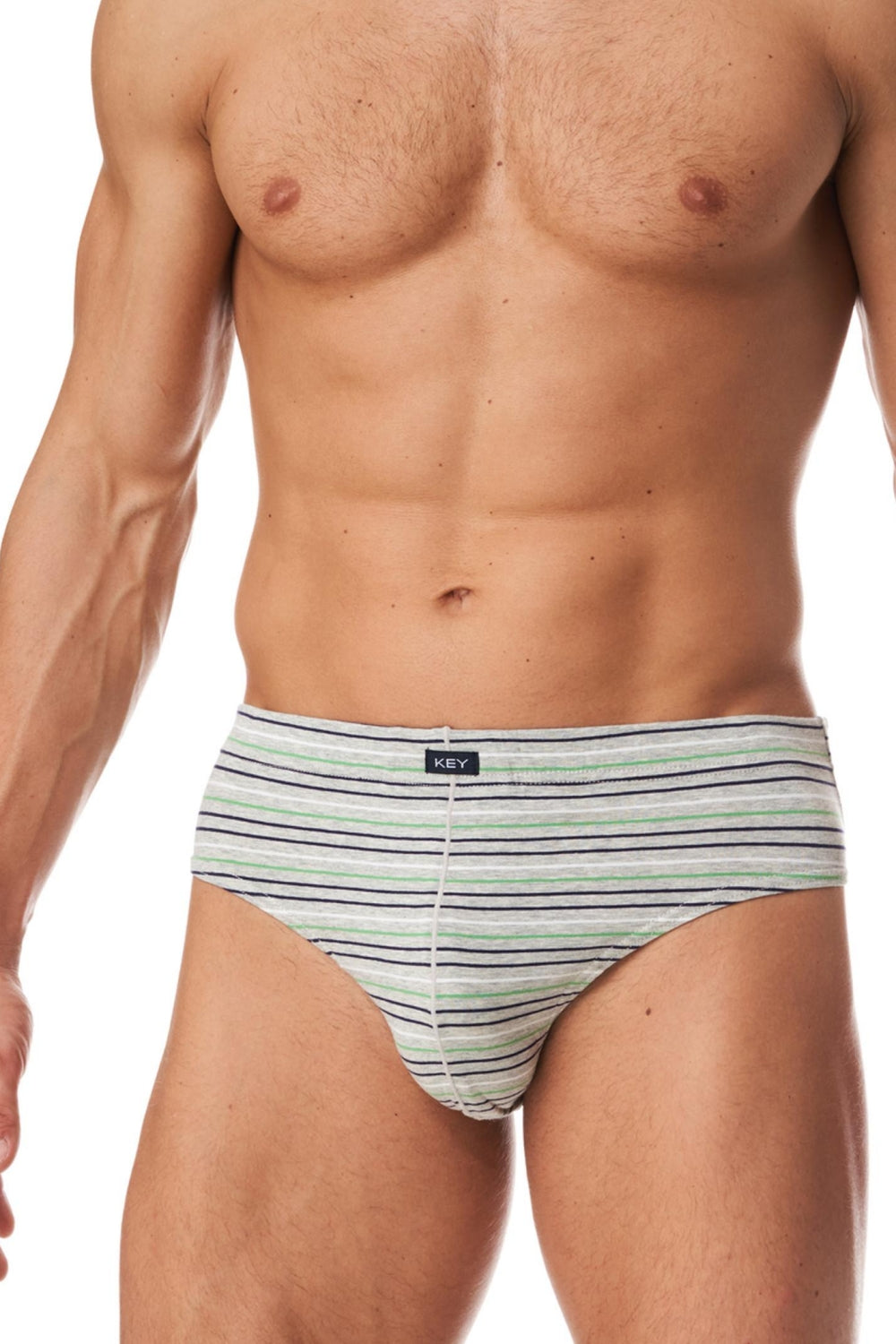 Мужские трусы слип в полоску MPP 391 A23 (2 шт.) multicolor