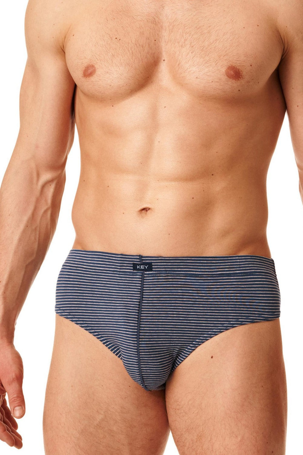 Мужские слипы в полоску MPP 395 B22 (2 шт.)