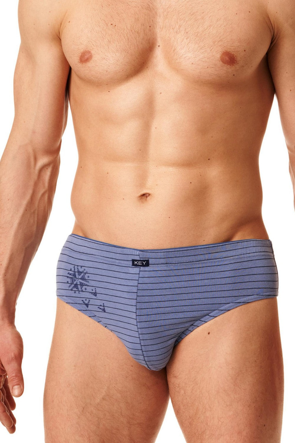 Мужские слипы в полоску MPP 396 B22 (2 шт.)