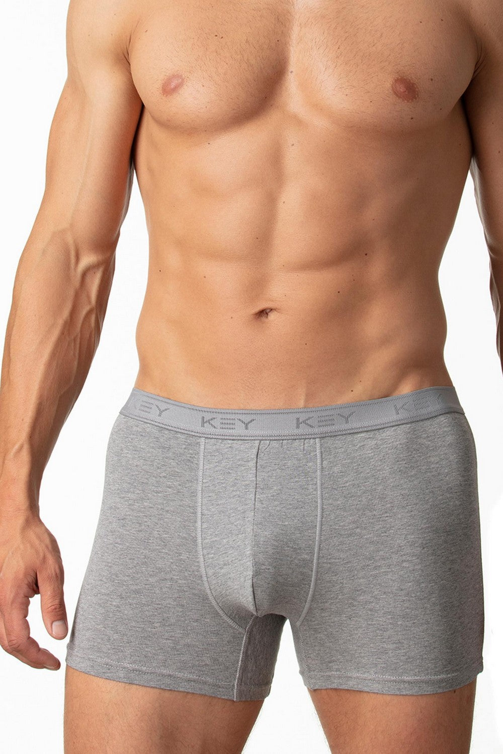 Мужские трусы шорты из хлопка MXH 019 melange