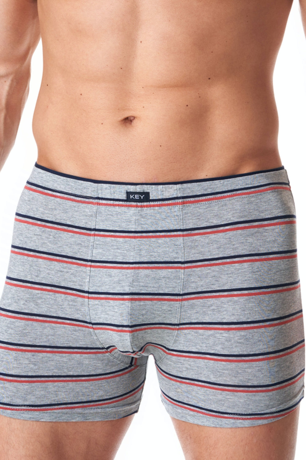 Мужские трусы шорты в полоску MXH 038 B23 melange