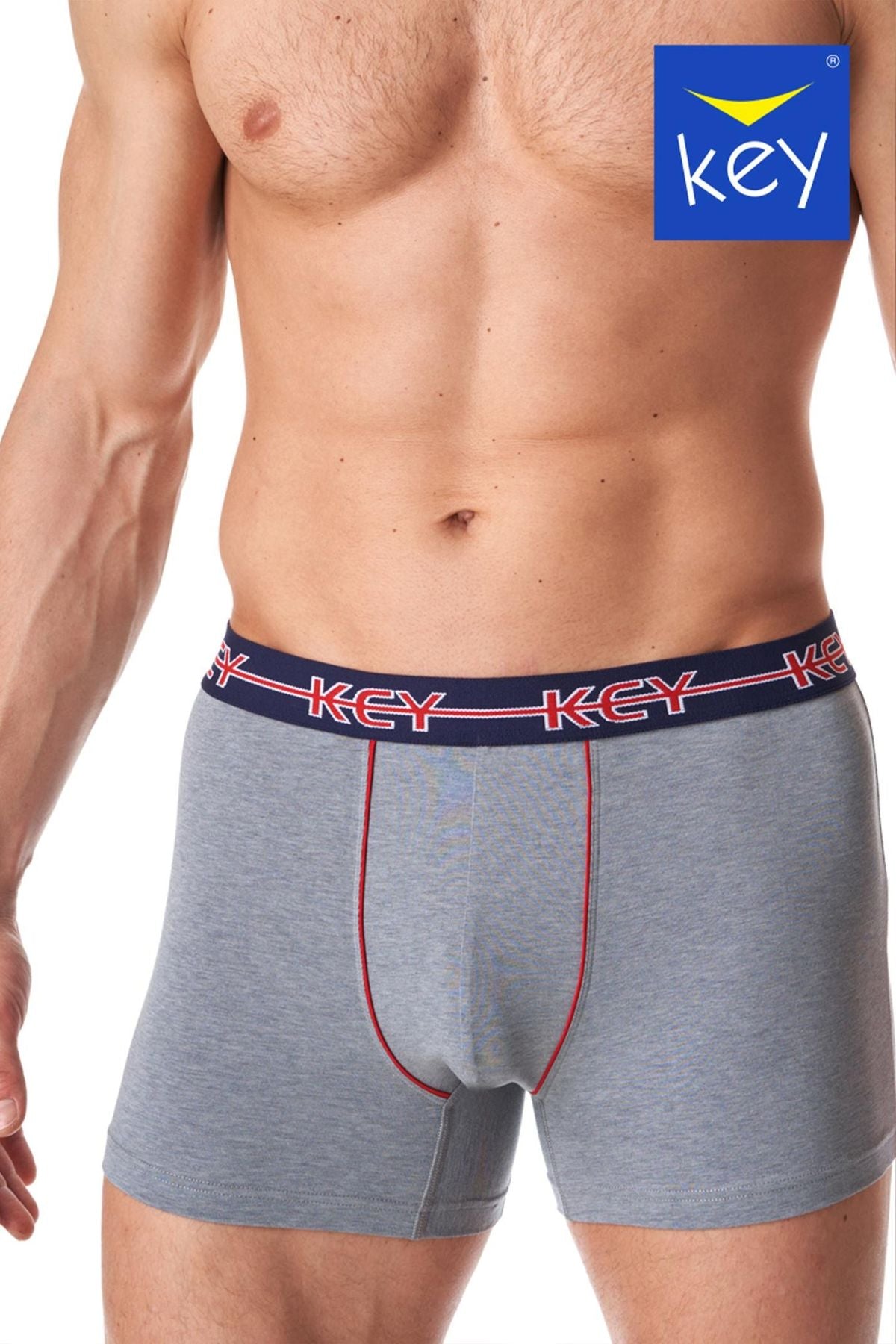 Мужские шорты-боксеры MXH 177 B23 gray