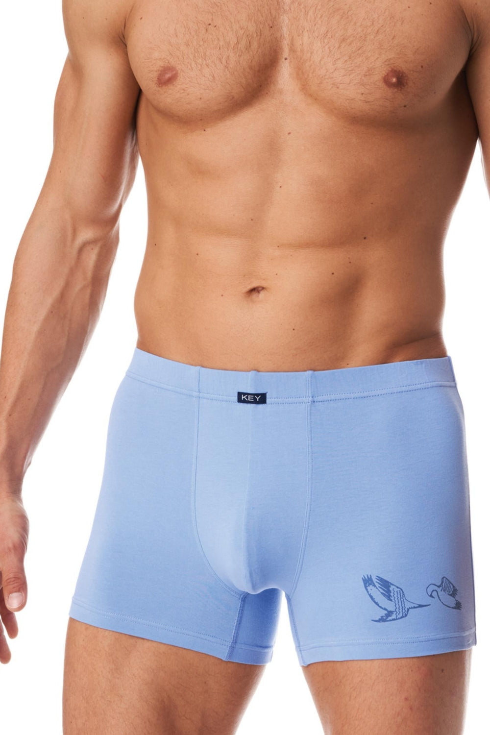 Мужские трусы шорты с принтом MXH 455 A23 light blue