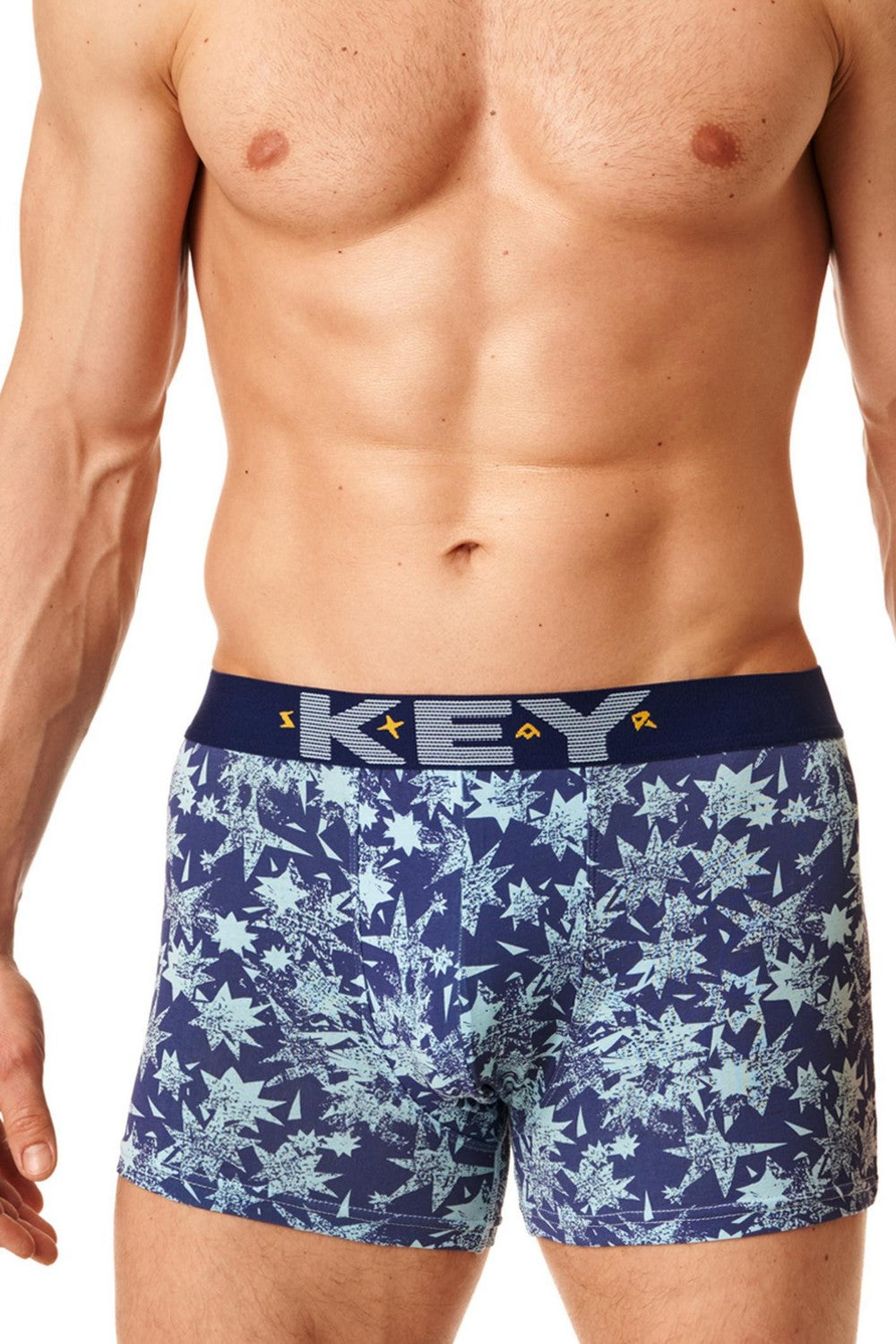 Мужские трусы шорты с принтом MXH 918 B22 blue