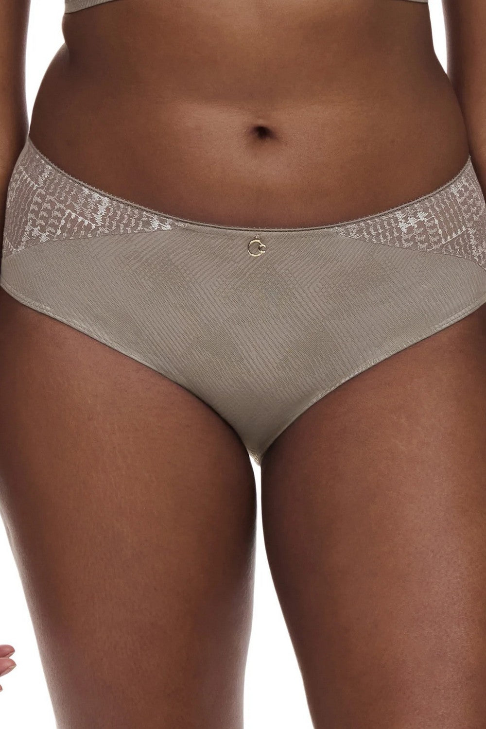 Высокие трусики слип 13WC5 Intrigue safari grey