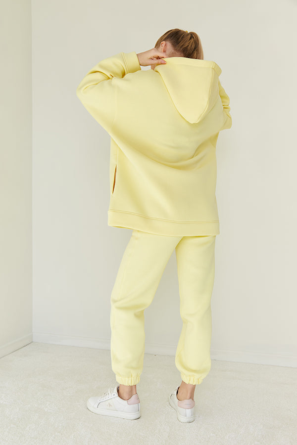Трикотажные брюки на флисе Lemon TR0052-89-09