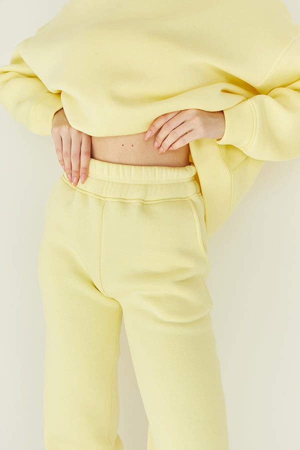 Трикотажные брюки на флисе Lemon TR0052-89-09