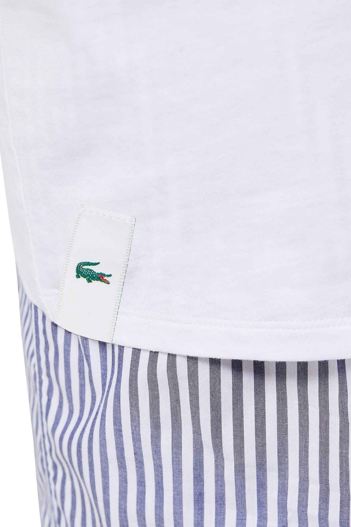 Бавовняна чоловіча футболка 501989868 (3 шт.) white Lacoste нашивка