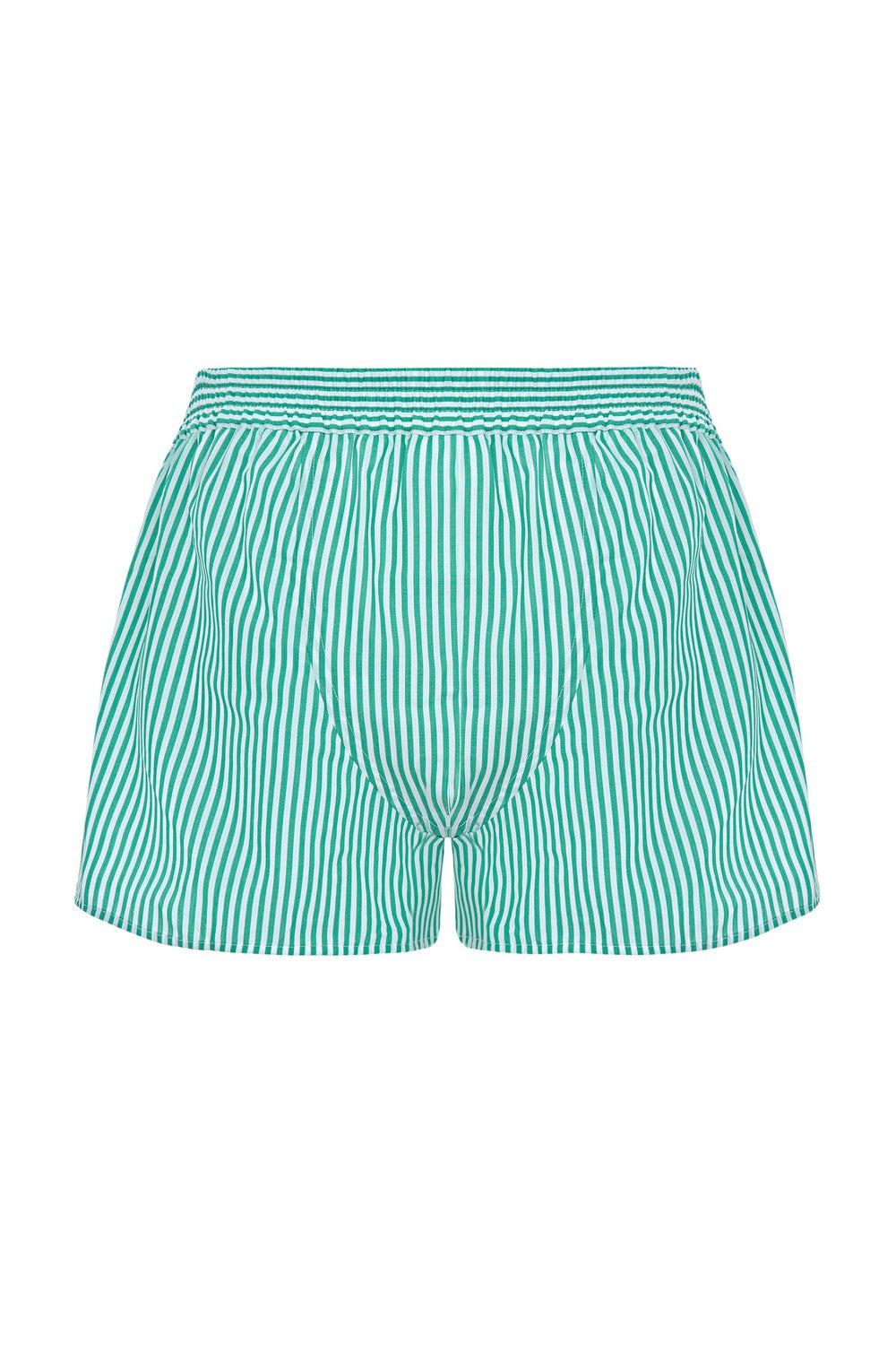 Мужские боксеры в полоску 2316 green