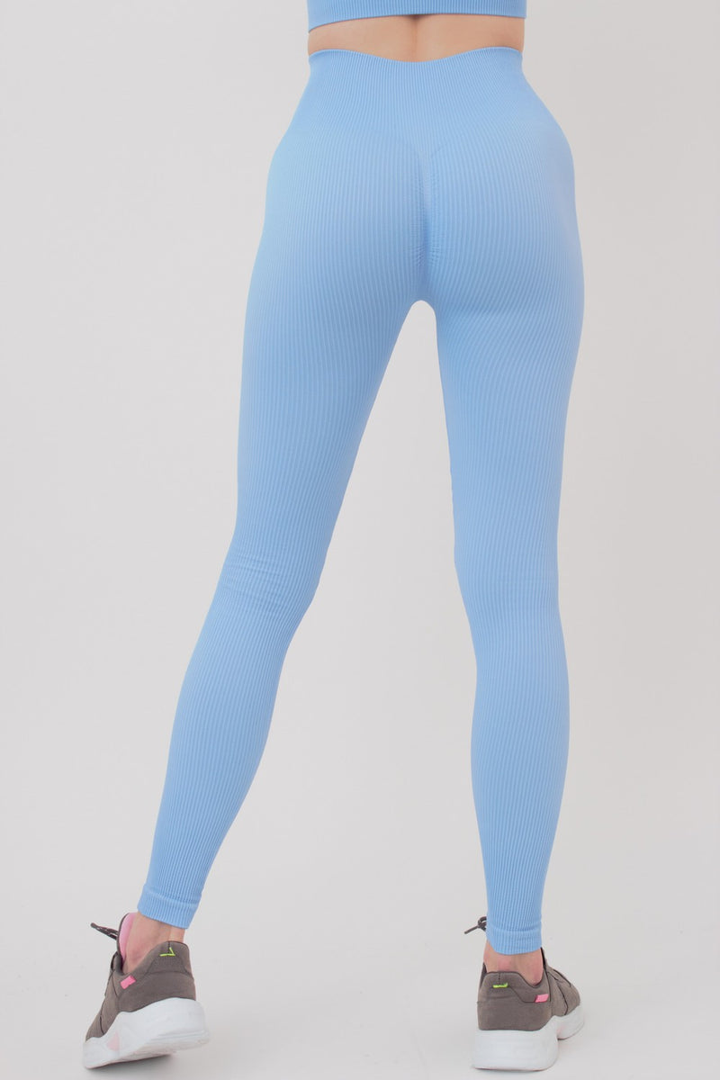 Бесшовные леггинсы в рубчик Leggings Rib lacecap hydrangea