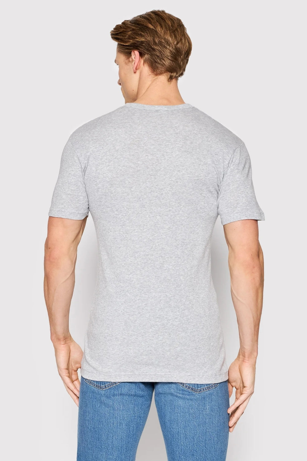 Мужская футболка из хлопка 1495 Basic