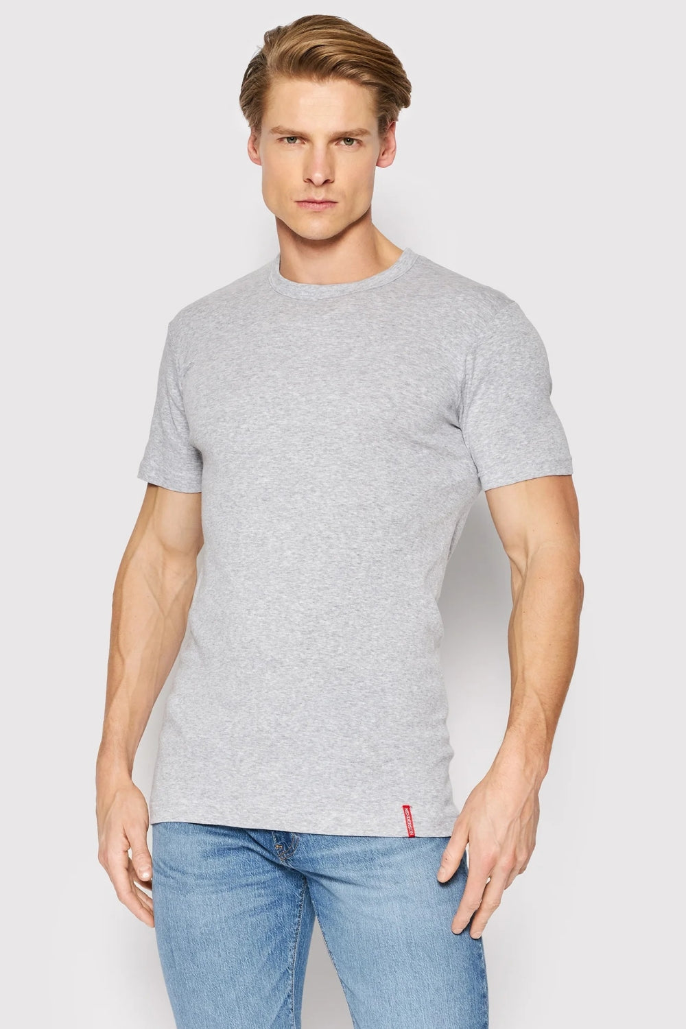 Мужская футболка из хлопка 1495 Basic