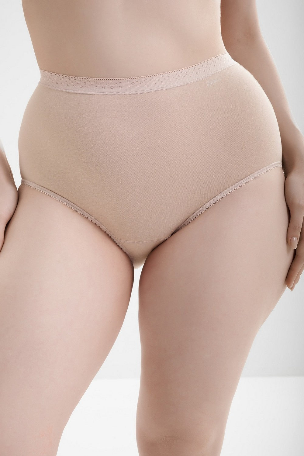 Набор хлопковых трусиков слип 31641 Midi Queen esencial (2 шт.)