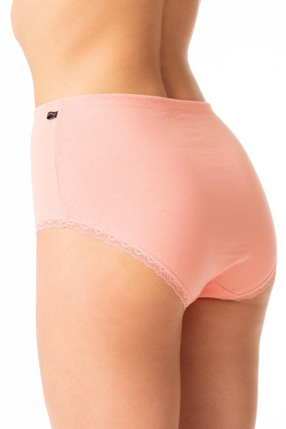 Высокие трусики слип из хлопка LPF 218 A24 (2 шт.)