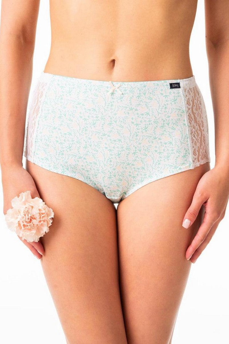 Високі трусики сліпи з мереживом LPF 616 A24 (2 шт) vanilla/blue