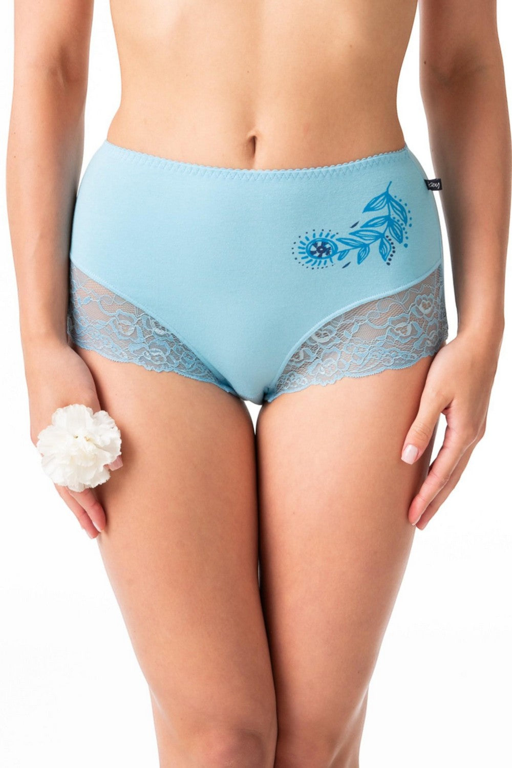 Хлопковые трусики слип LPF 783 A24 (2 шт.)