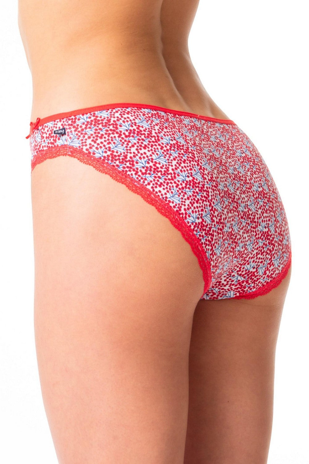 Трусики слип с принтом LPR 548 A24 (2 шт.)