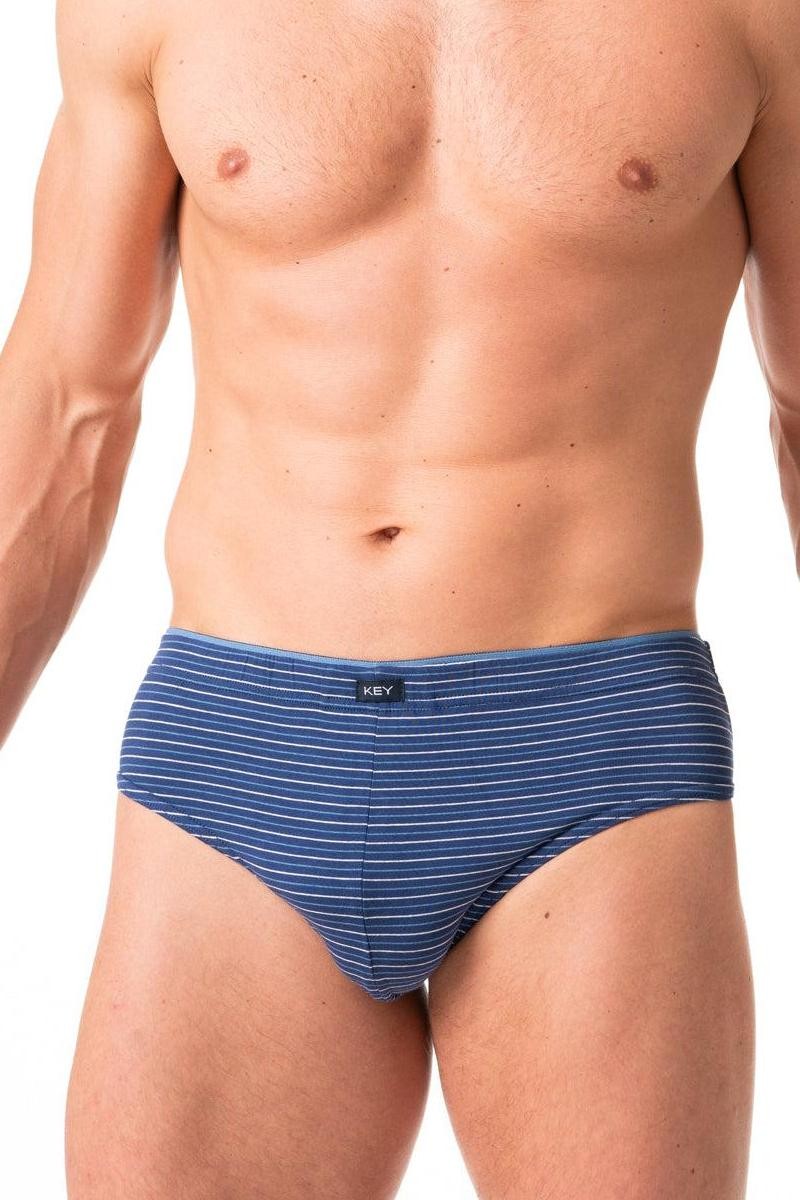 Мужские трусы слип MPP 341 A24 (2 шт.) blue