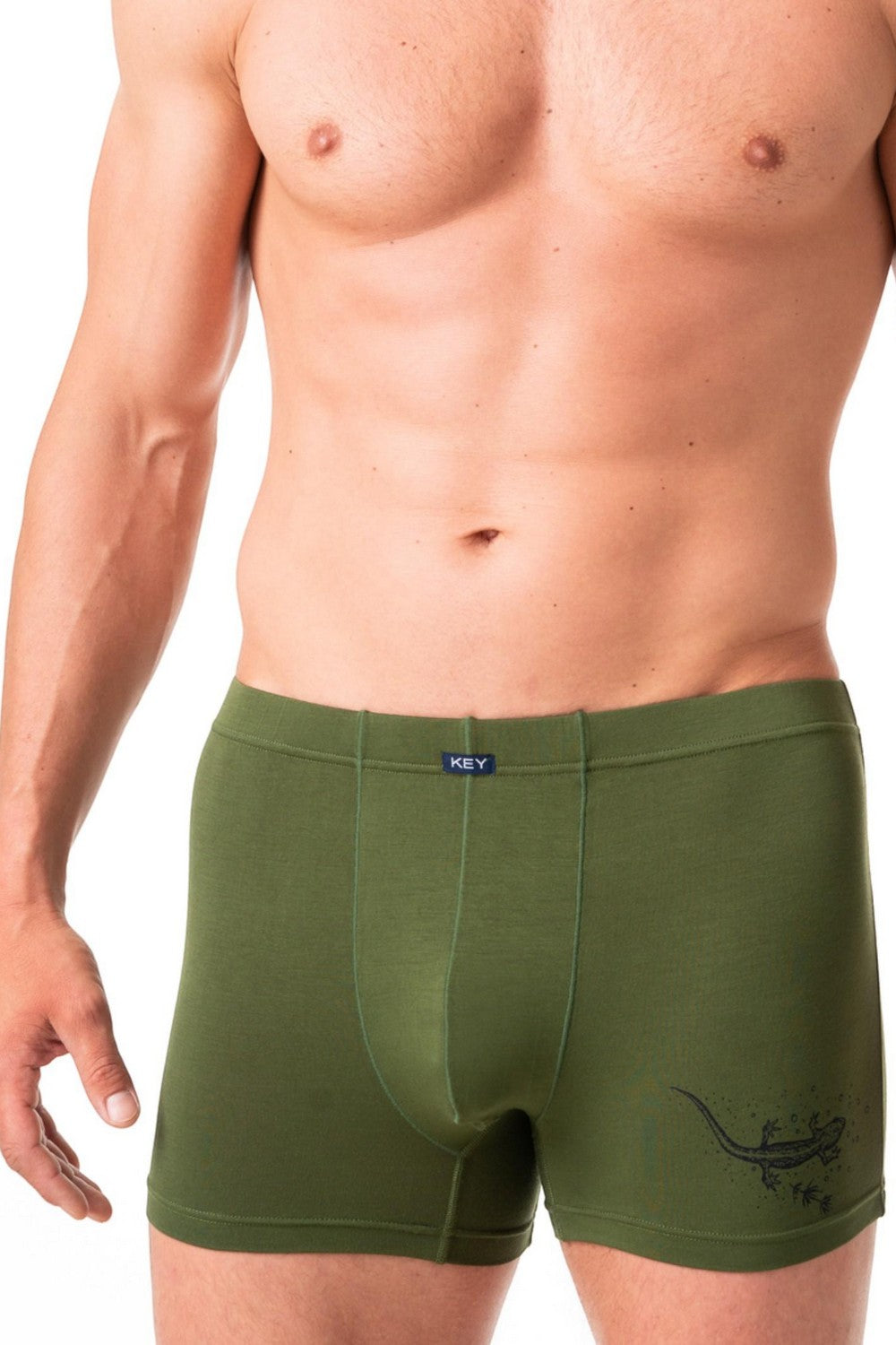 Мужские трусы шорты из бамбука MXH 633 A24 green