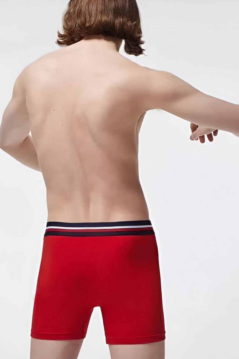 Мужские трусы шорты 757410798 (3 шт.) multi