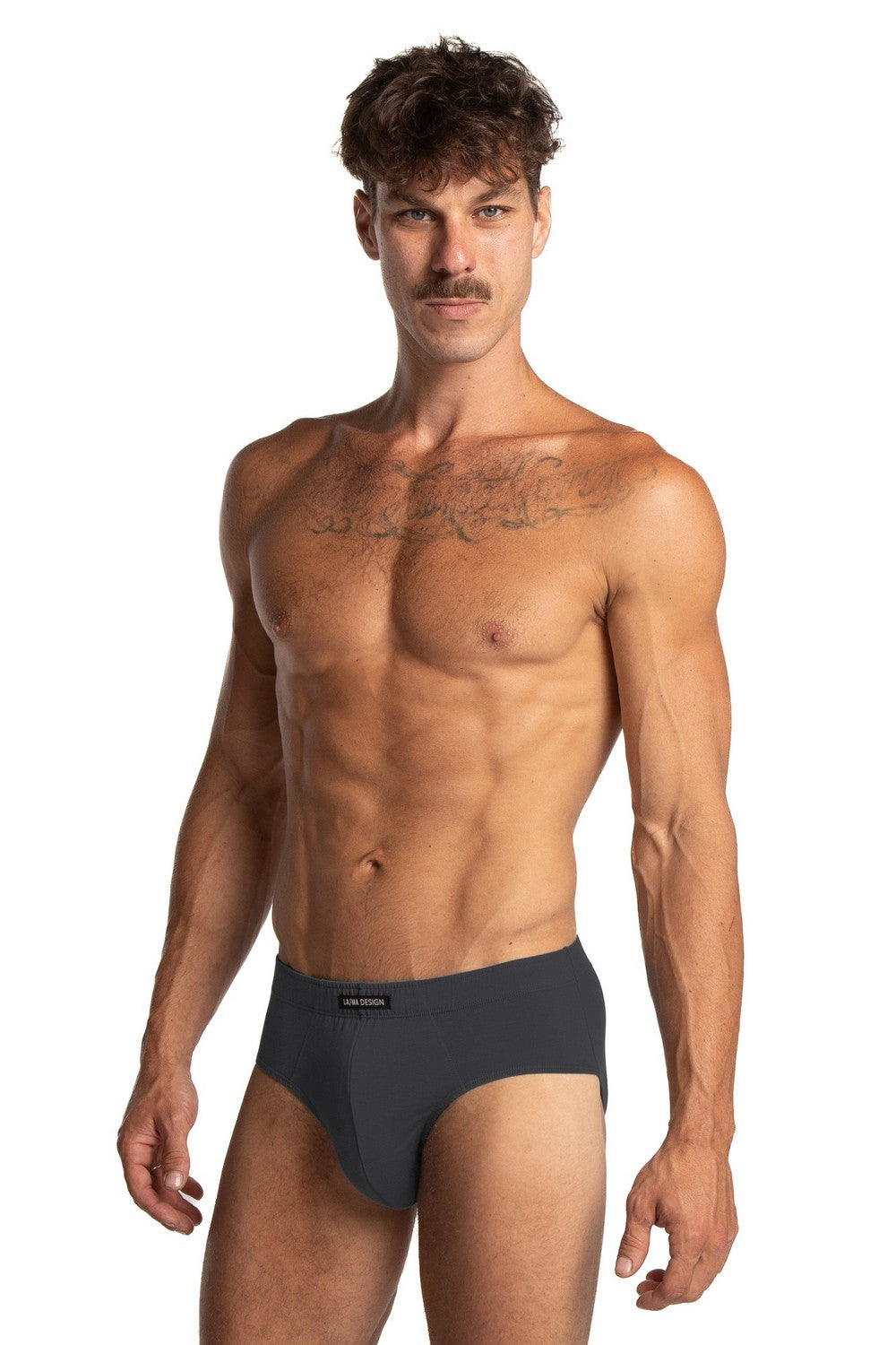 Мужские трусы слип 1069CL gray/blue/dark blue (2 шт.)