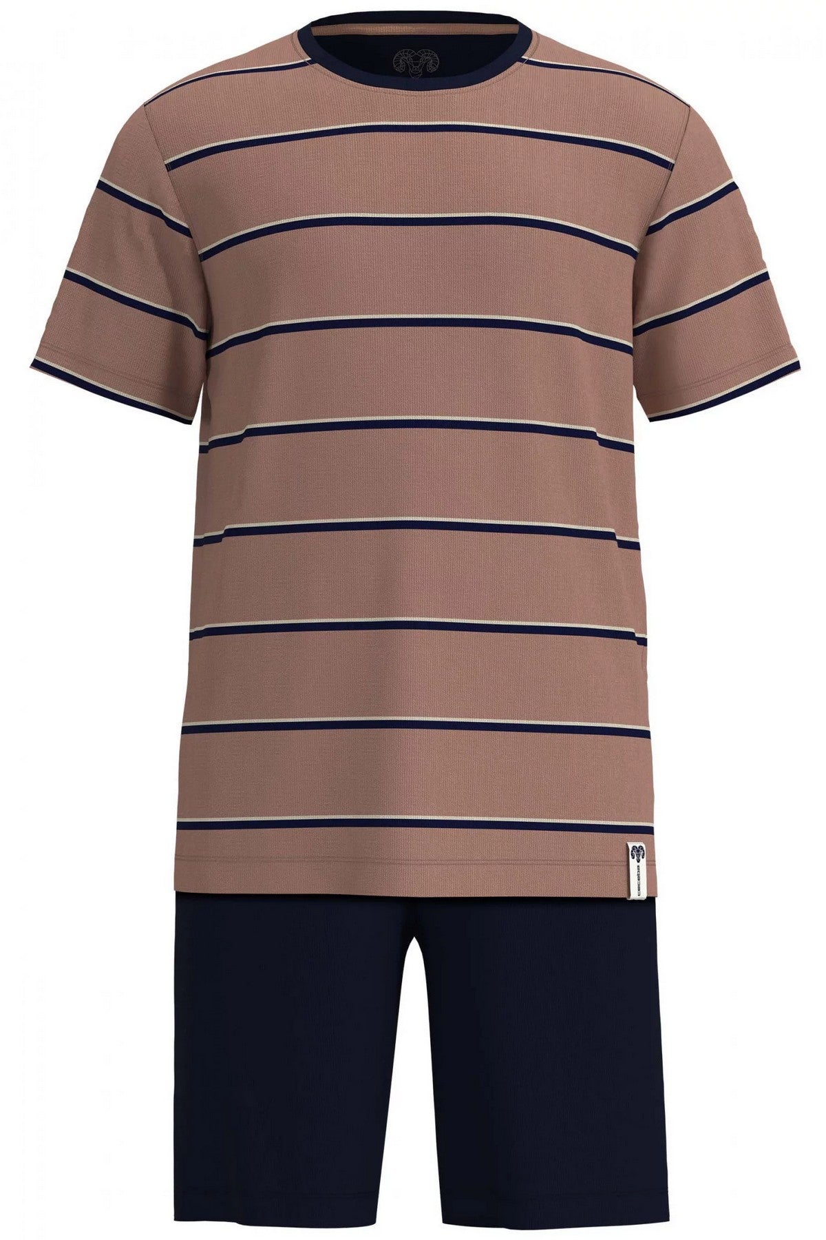 Чоловічий комплект 31315 522 brown Ceceba