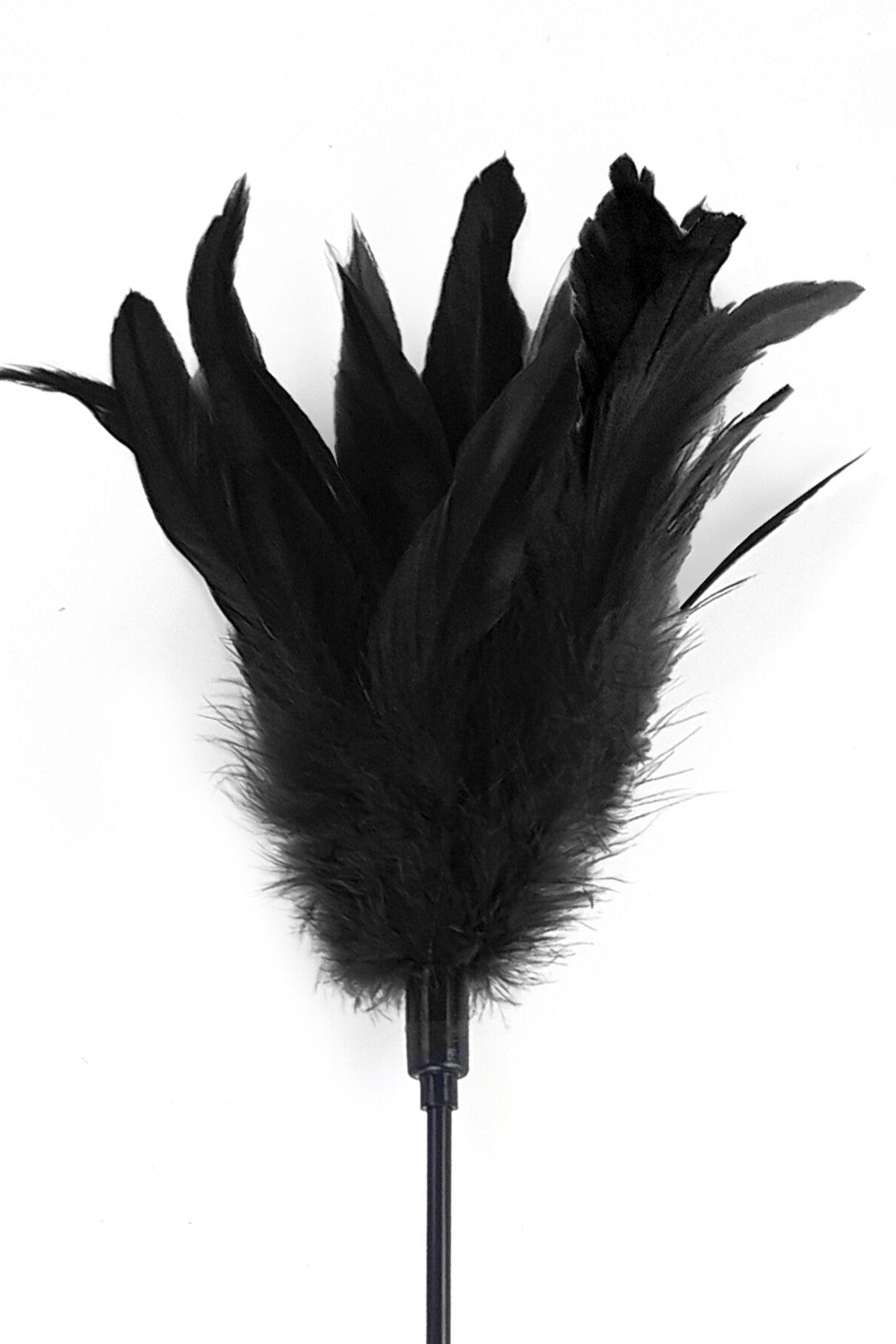 Стек с пером петуха Feather Paddle black