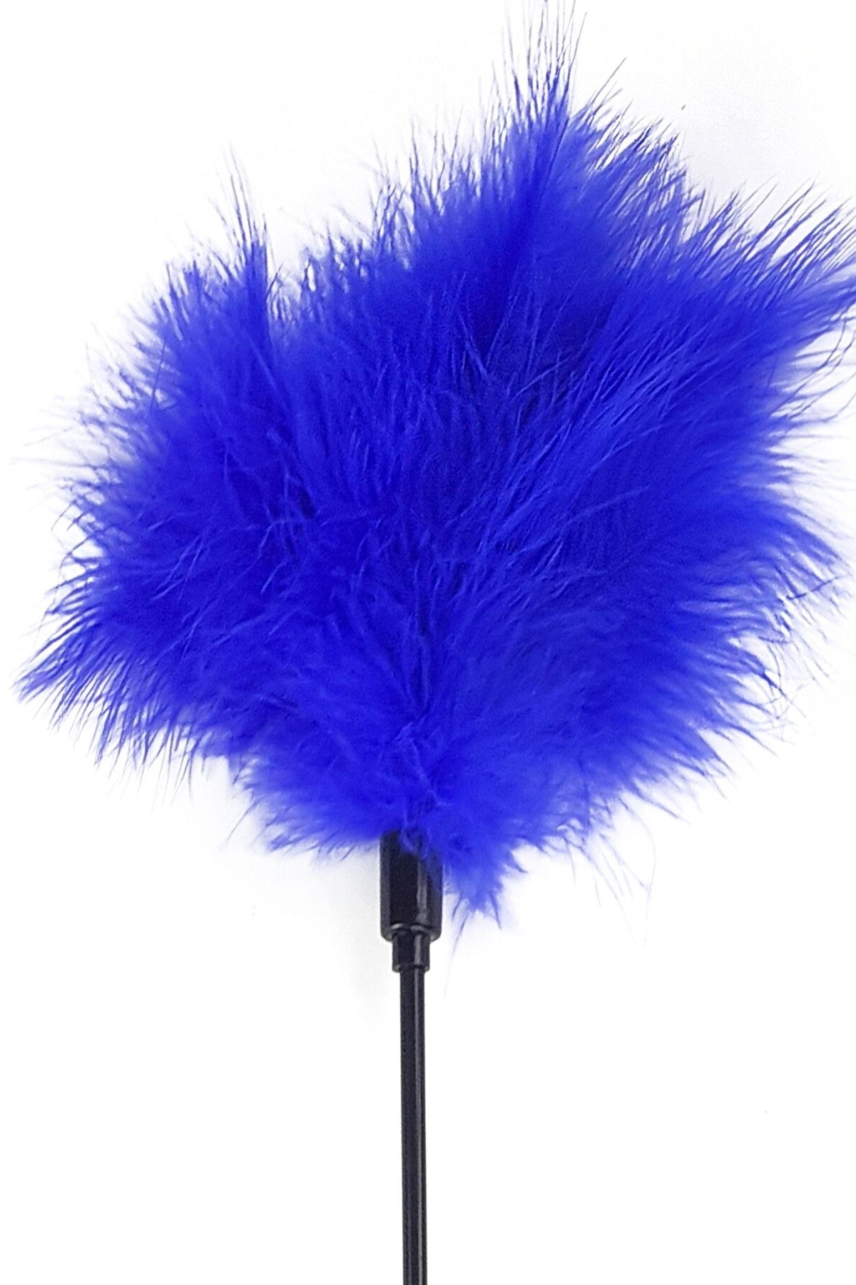 Стек с пером индюка Feather Paddle blue
