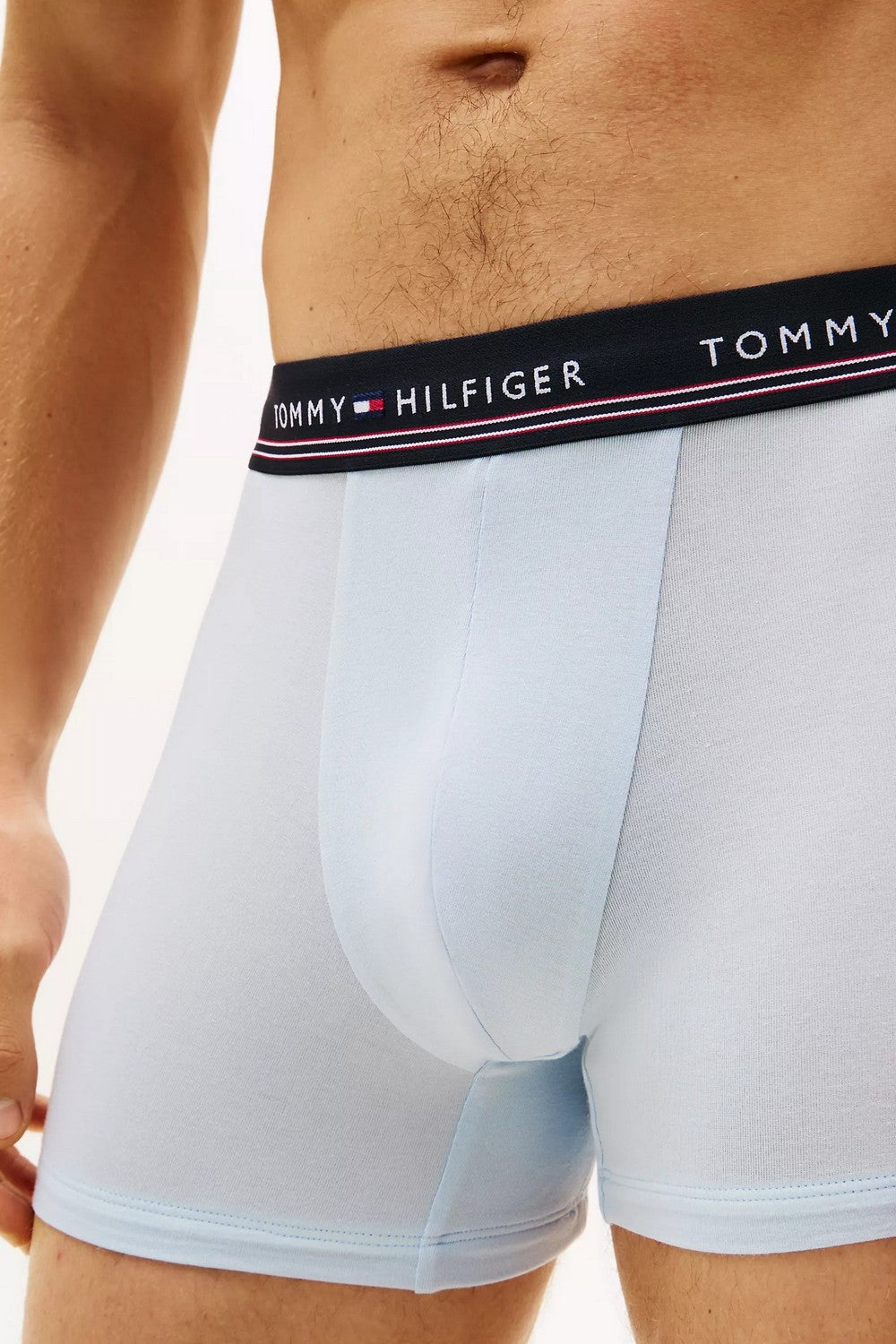 Чоловічі труси шорти 754102697 (3 шт.) multi Tommy Hilfiger деталь