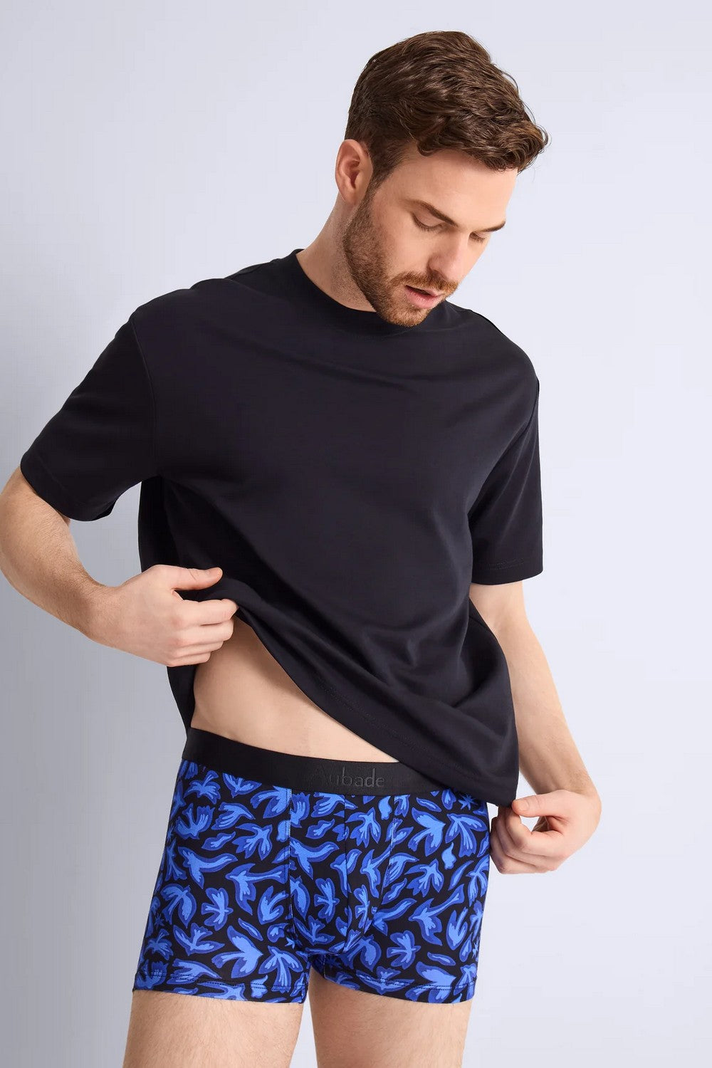 Мужские трусы шорты XB58T birds/bleu (2 шт.)