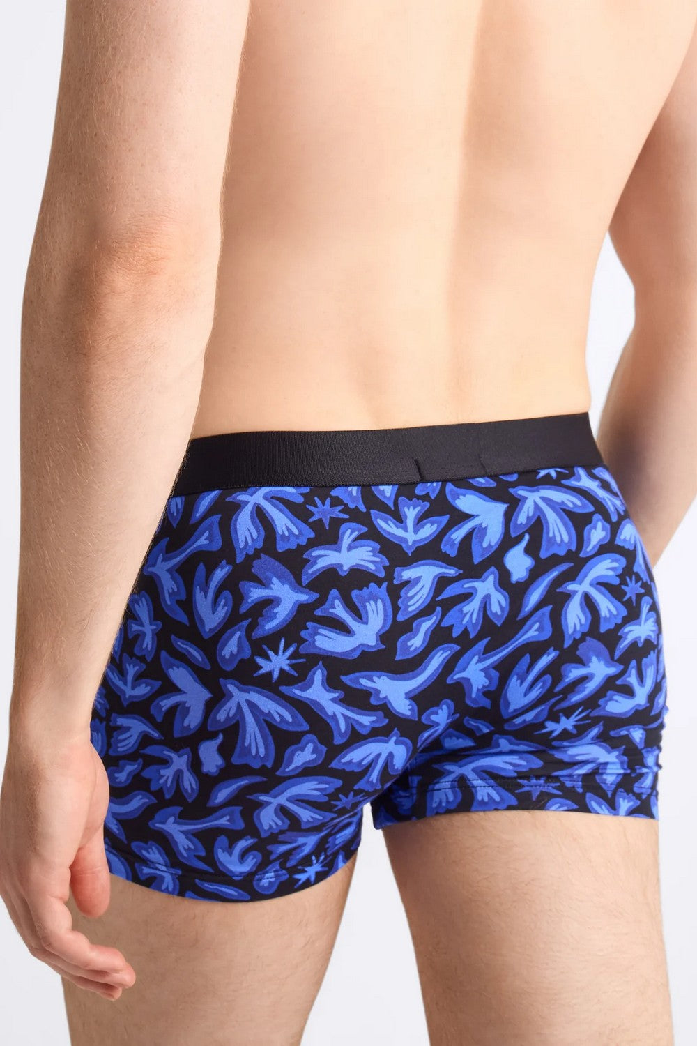 Чоловічі труси шорти XB58T birds/bleu (2 шт.)