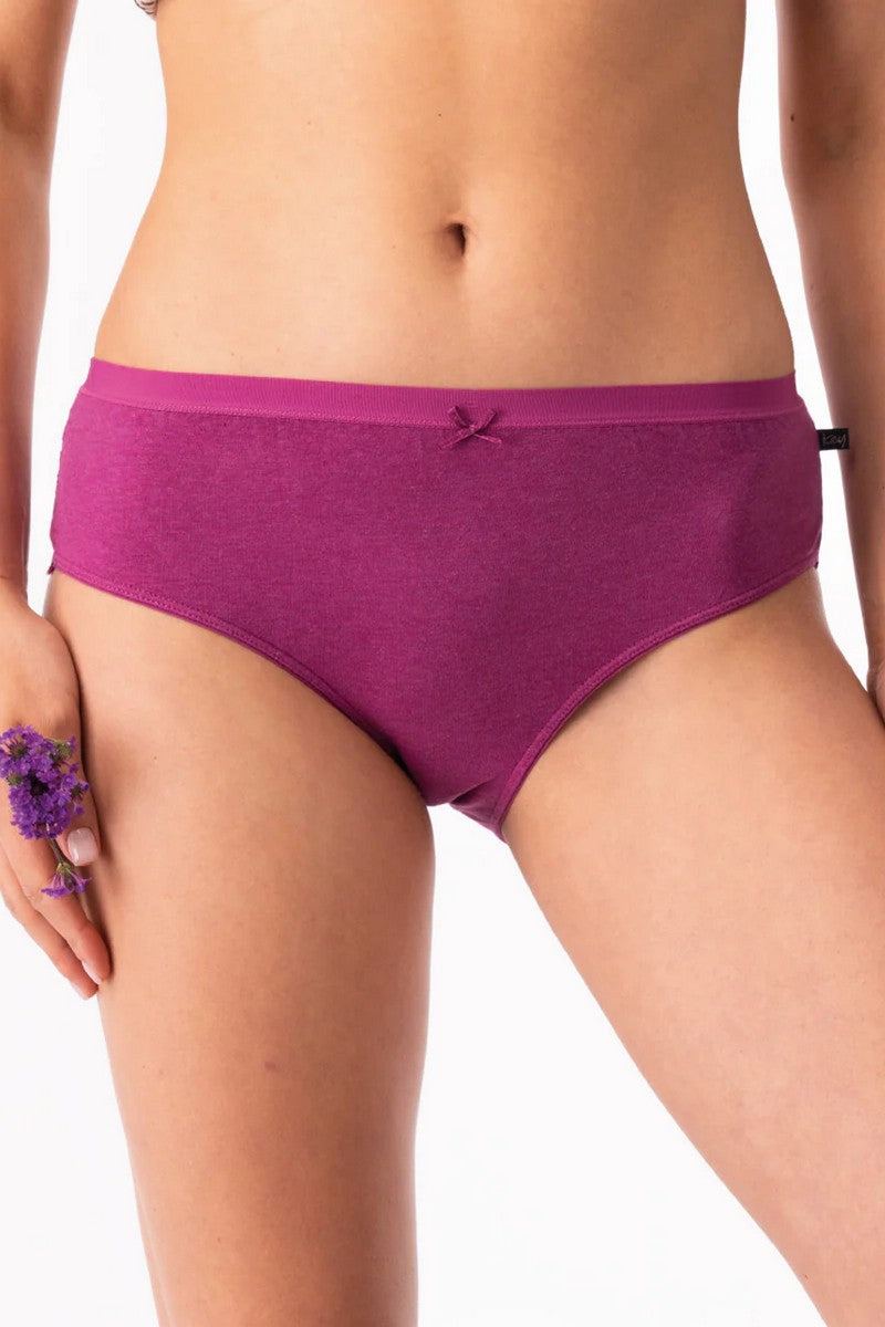 Хлопковые трусики слип LPC 248 (2 шт.) multi