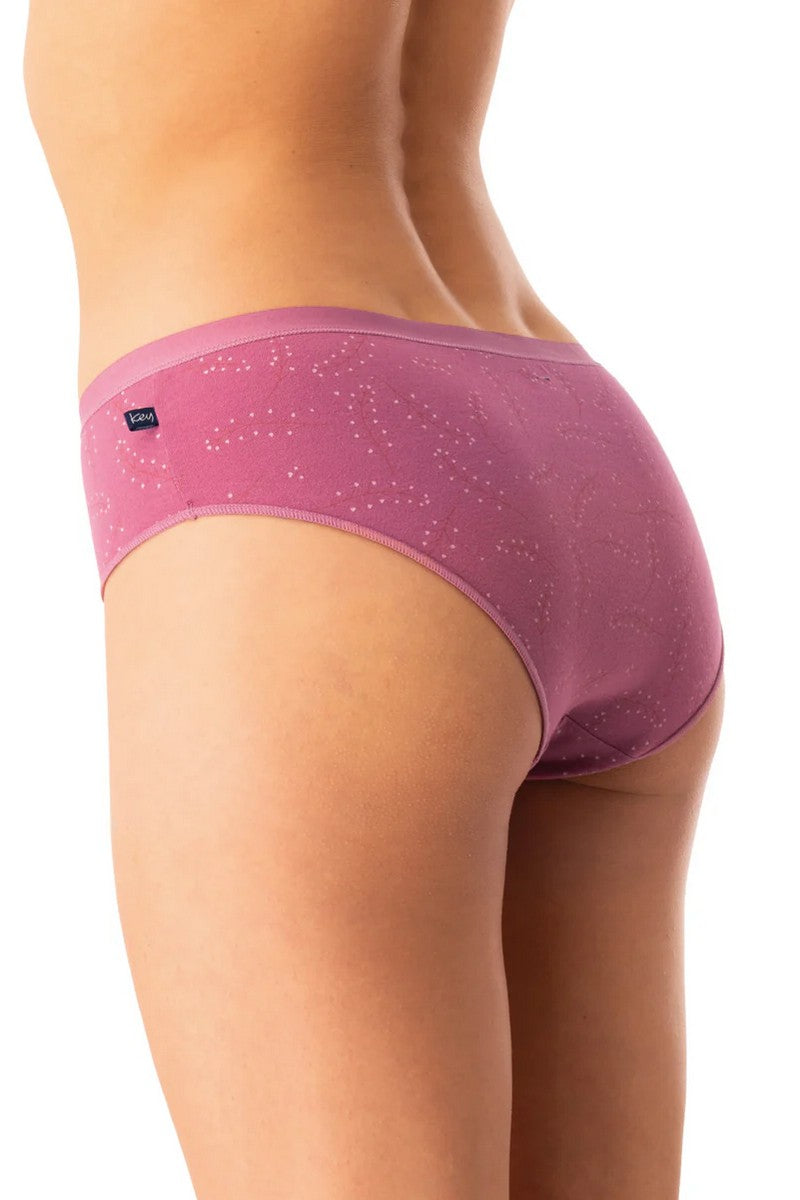 Бавовняні трусики сліпи LPN 523 (2 шт.)