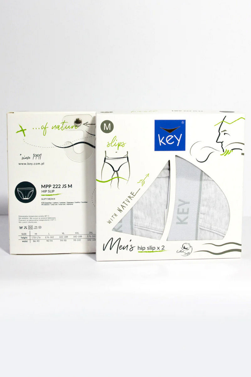 Мужские трусы слип MPP 222 light gray (2 шт.)
