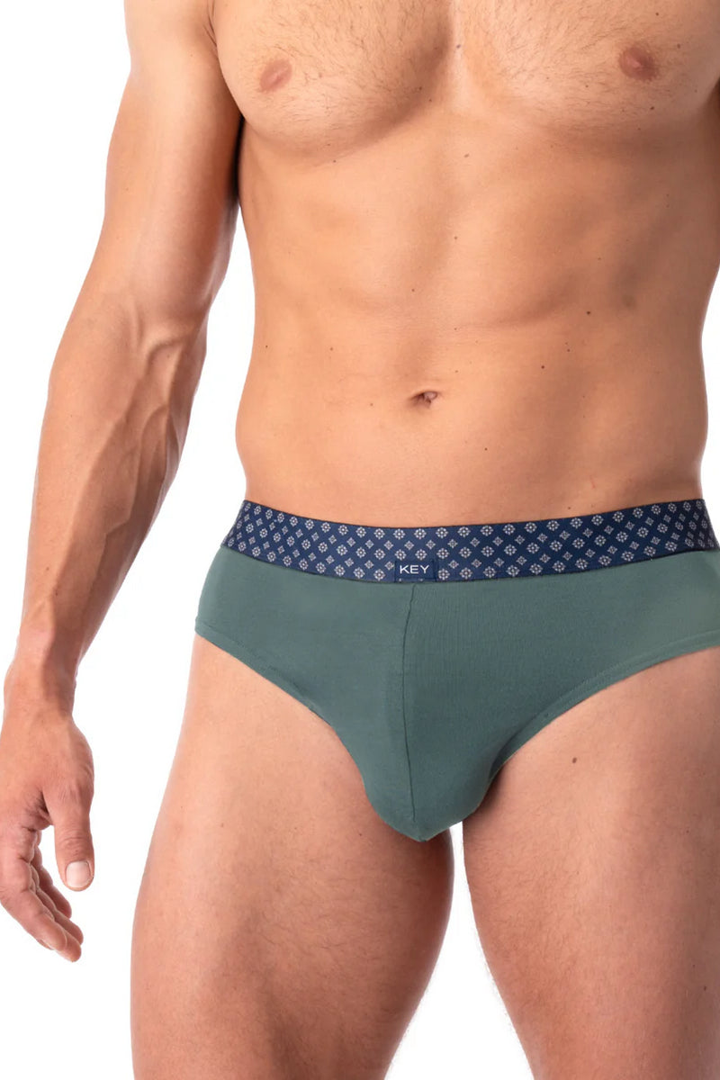 Мужские трусы слип MPP 231 A25 (2 шт.)