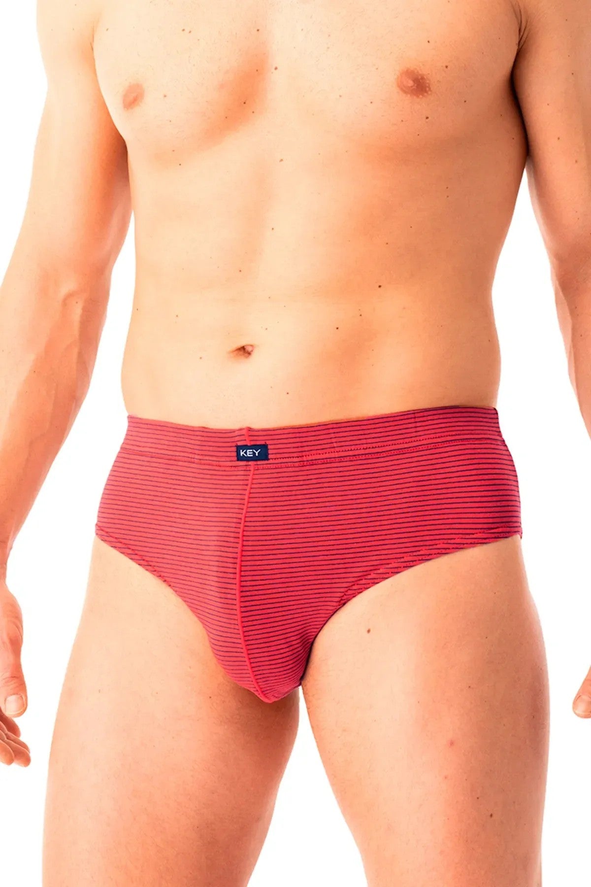 Чоловічі труси сліпи MPP 328 B25 gray/red (2 шт.)