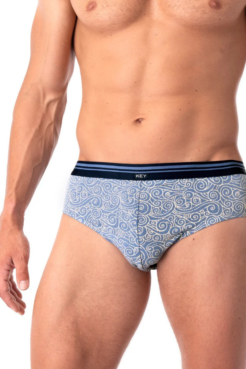 Мужские трусы слип MPP 748 A25 (2 шт.) blue