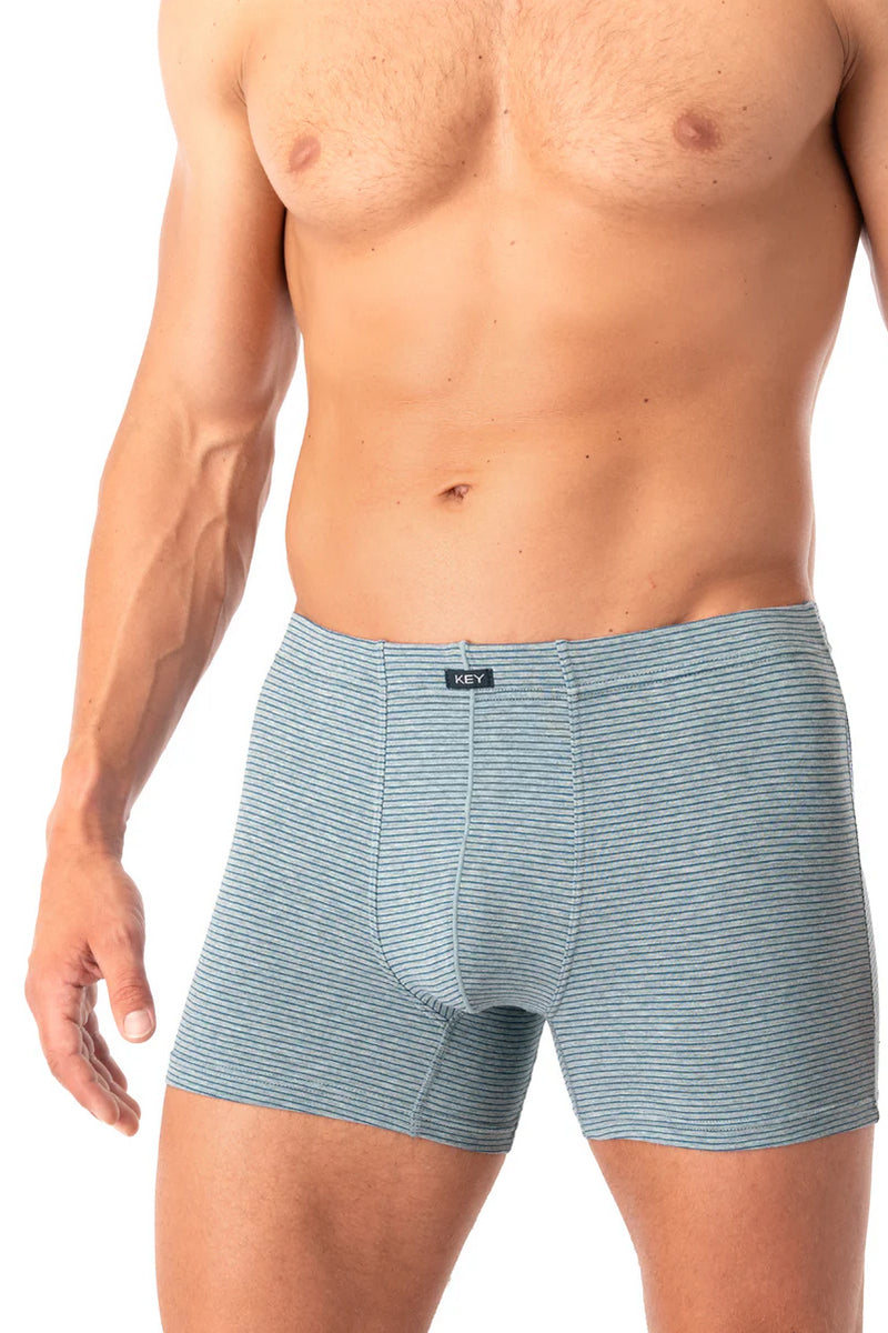 Мужские трусы шорты MXH 073 A25 green/gray