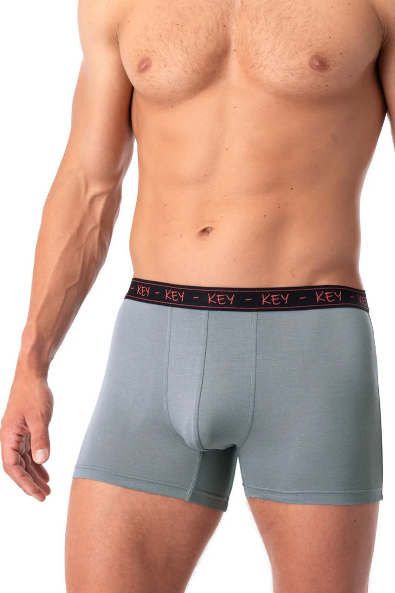 Мужские трусы шорты MXH 178 A25 gray