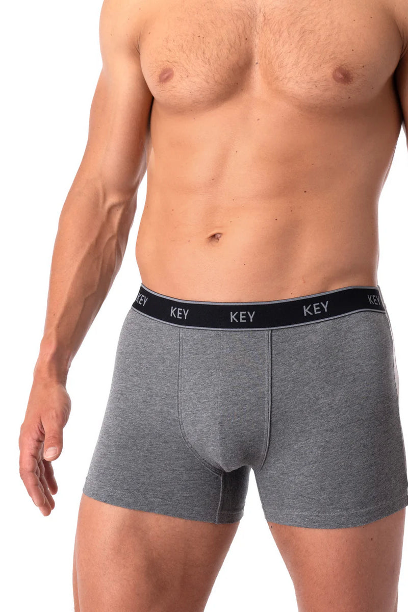 Мужские трусы шорты MXH 222 dark gray