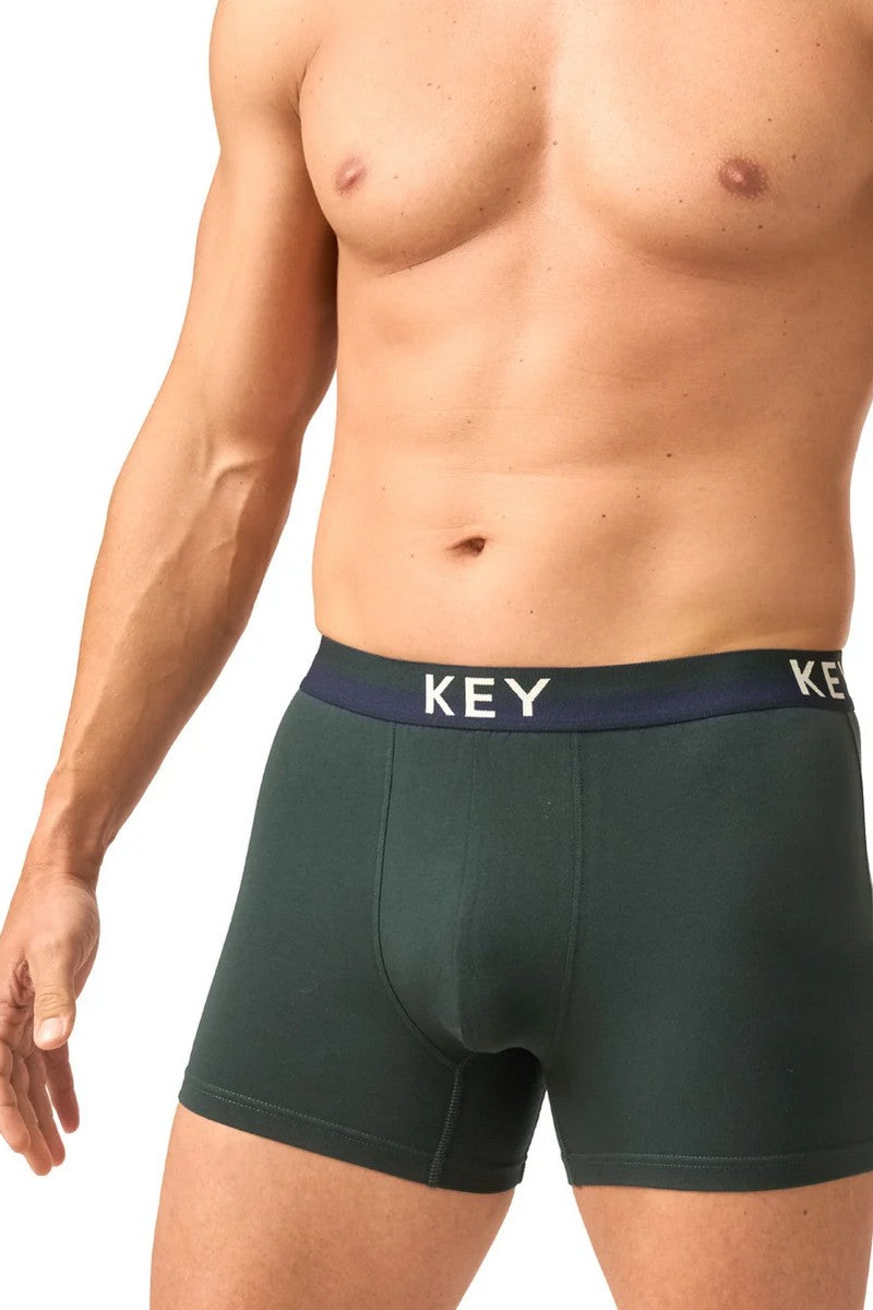 Чоловічі труси шорти MXH 239 green Key