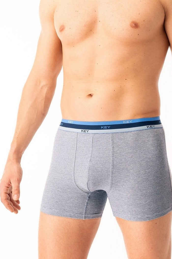 Мужские трусы шорты MXH 277 B25 gray