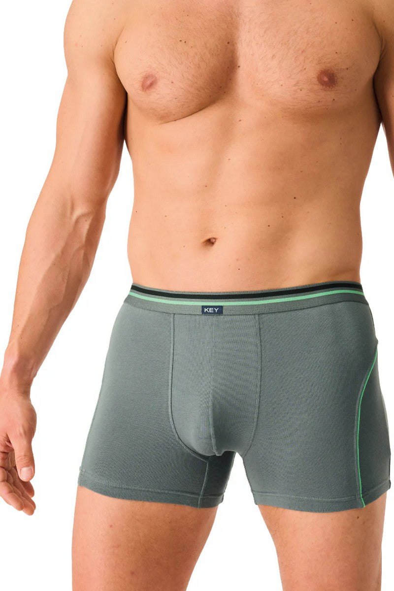 Мужские трусы шорты MXH 281 gray