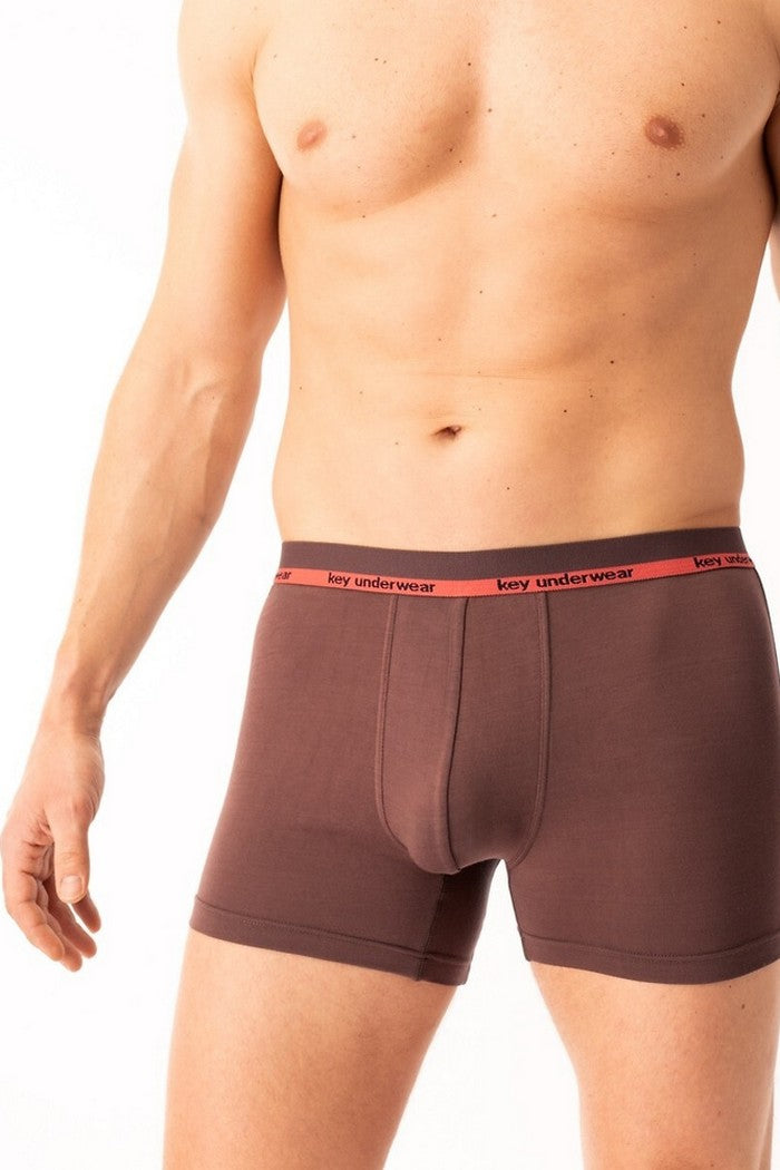 Мужские трусы шорты MXH 287 B25 brown