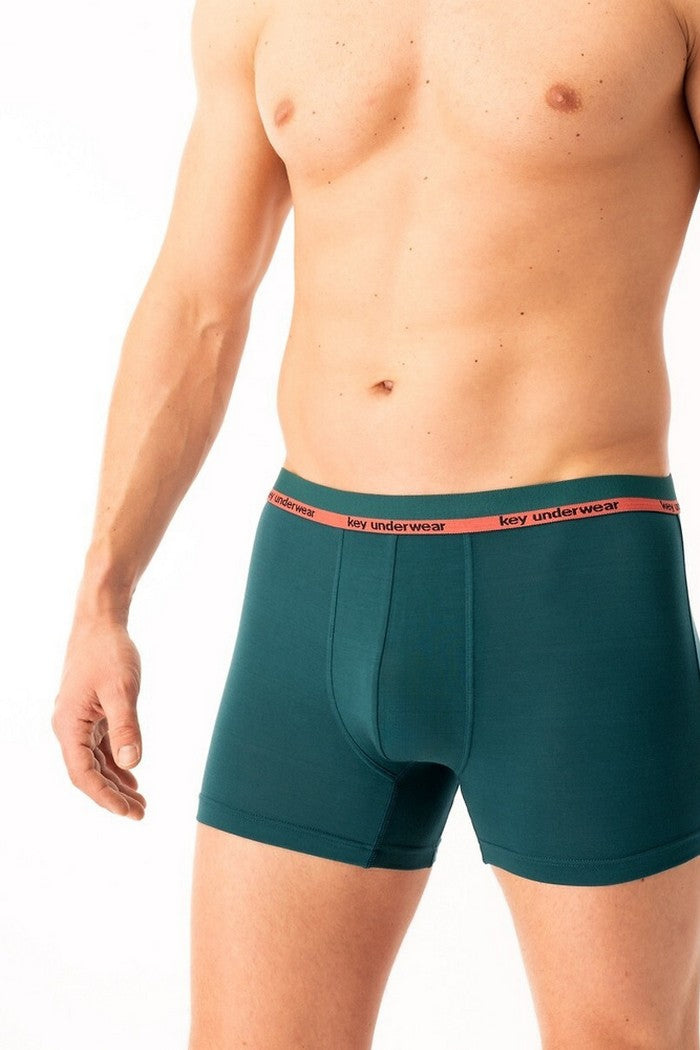 Мужские трусы шорты MXH 287 B25 green